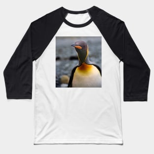 King Penguin Up Close & Personal Baseball T-Shirt